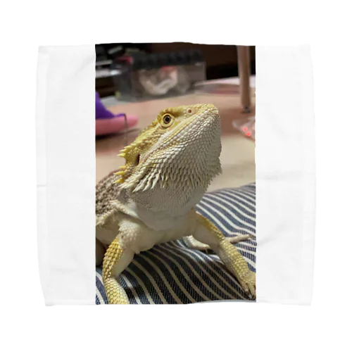 フトアゴヒゲトカゲのパック Towel Handkerchief