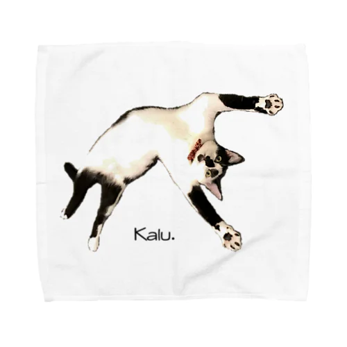 カルくんハンドタオル Towel Handkerchief