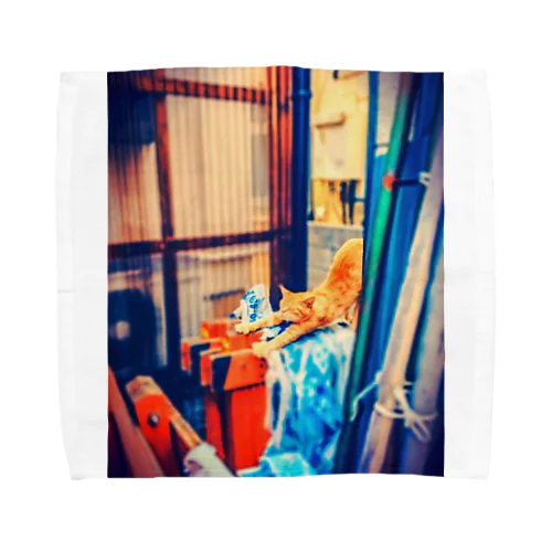 野良猫の朝 Towel Handkerchief