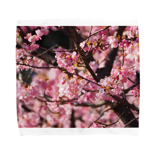 2021年の桜(№2) Towel Handkerchief