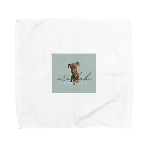 犬　ピンシャー　ミニチュアピンシャー Towel Handkerchief