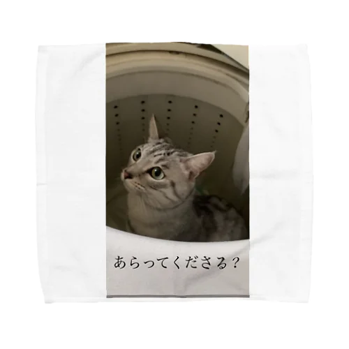 どるちぇ　あらってくださる? Towel Handkerchief