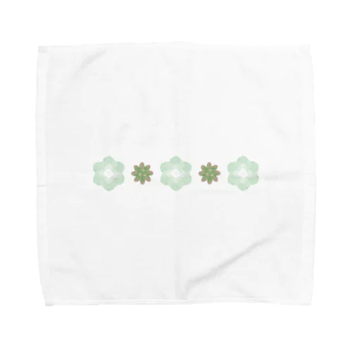 多肉植物 Towel Handkerchief