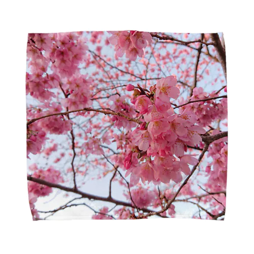 桜シリーズ Towel Handkerchief