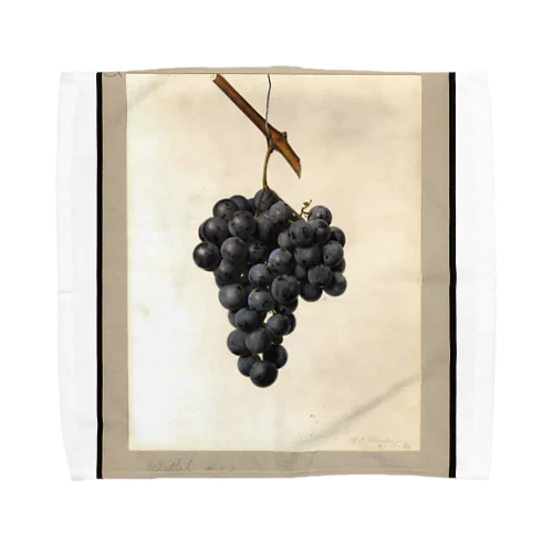 Vitis: Wittel No. 42 Towel Handkerchief