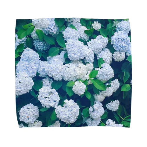 紫陽花の写真 Towel Handkerchief