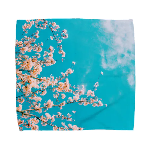 青空と桜 タオルハンカチ