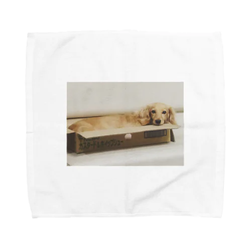 うちの犬 Towel Handkerchief