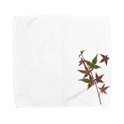 OSHIBANA Towel Handkerchief