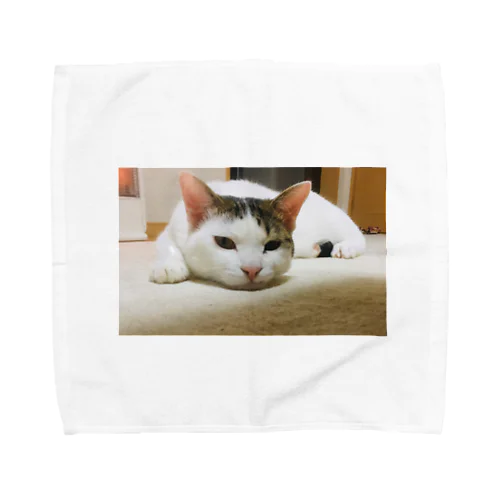 シキ・シリーズ Towel Handkerchief