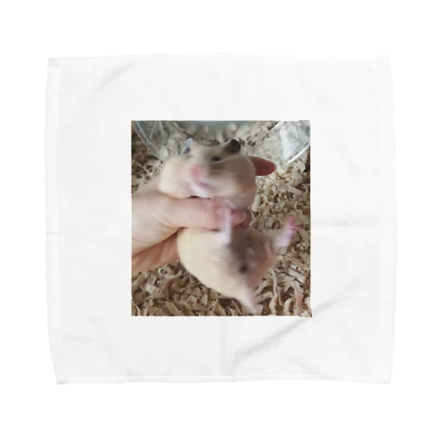 アパレルキンタ〜躍動〜 Towel Handkerchief