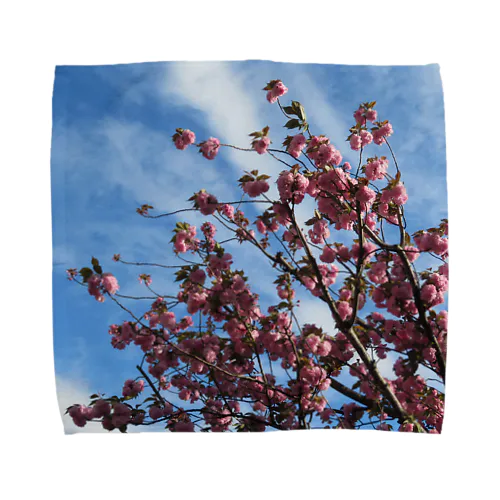 桜と空と雲 Towel Handkerchief
