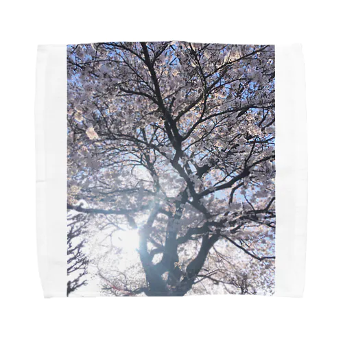 桜 Towel Handkerchief