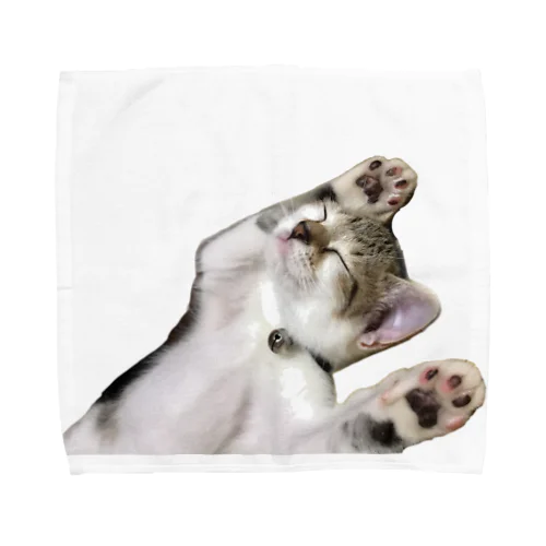 無防備な猫 Towel Handkerchief
