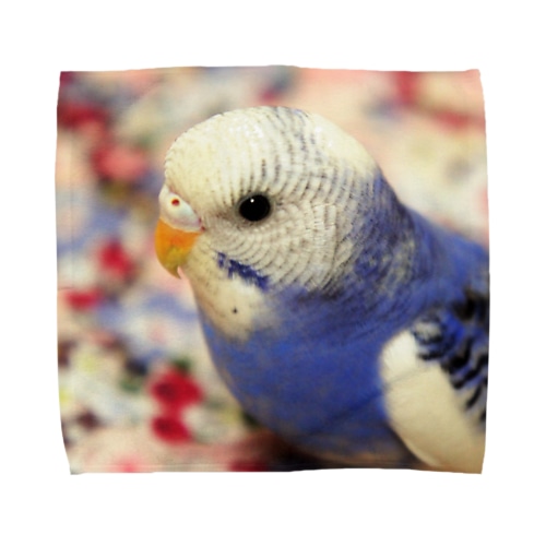 ぴーたろうくん２ Towel Handkerchief