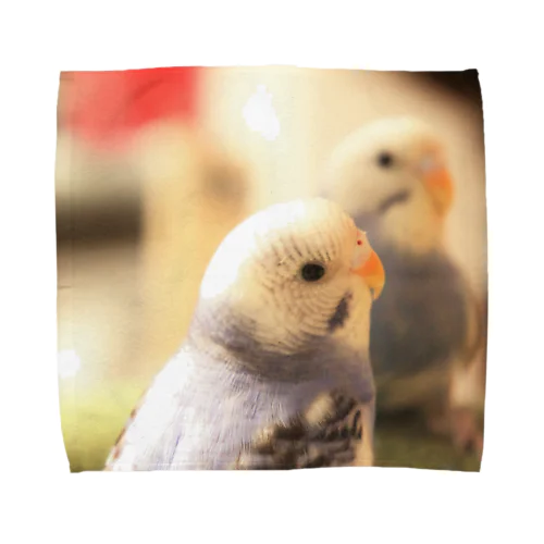 セキセイインコのぴーたろうくん Towel Handkerchief