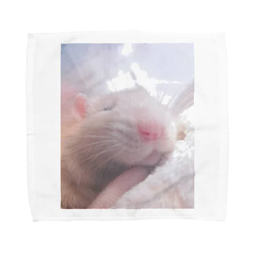 ファンシーラット(deep sleep) Towel Handkerchief