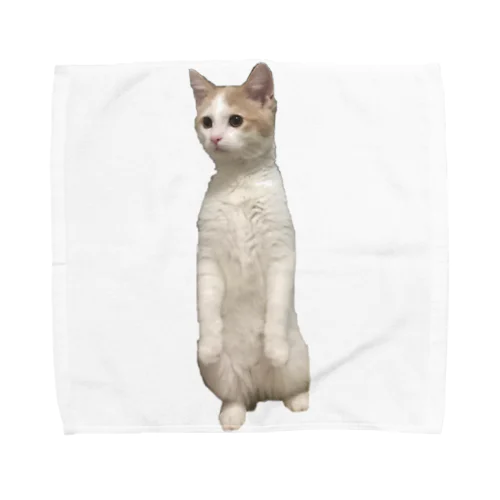 うちのねこバニラ Towel Handkerchief