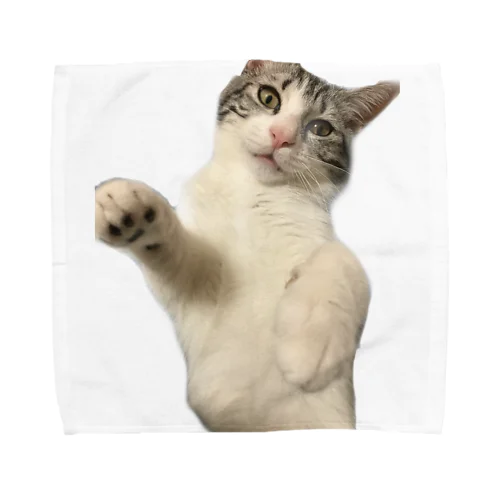 猫パンチ Towel Handkerchief