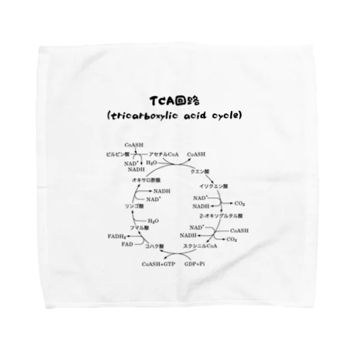 TCA回路 Towel Handkerchief