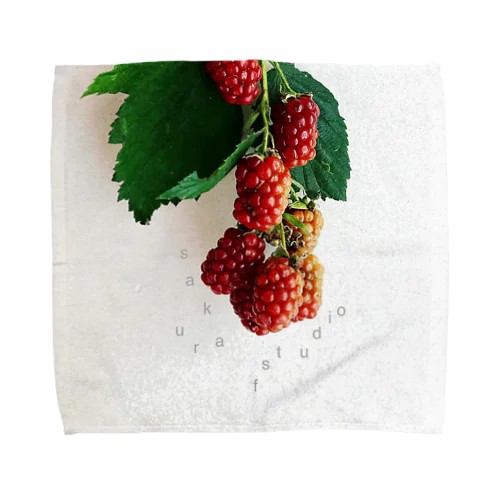 Blackberry  Towel Handkerchief