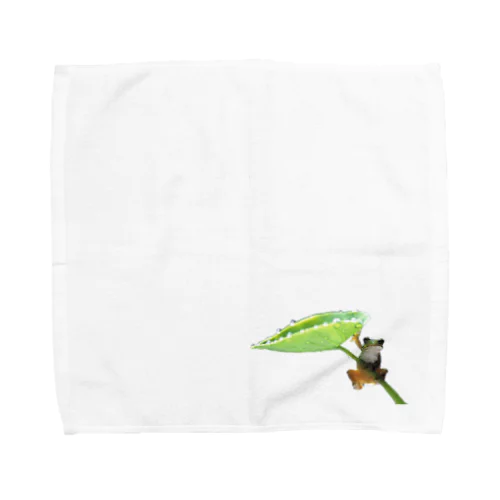 カエル Towel Handkerchief