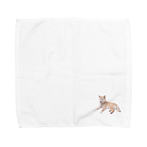 ワンポイントコロ(かわいい) Towel Handkerchief