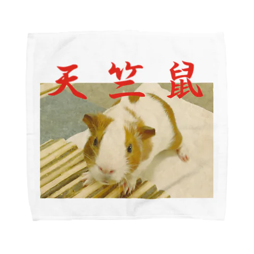 中華風天竺鼠 Towel Handkerchief