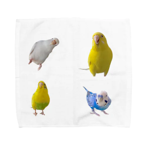 インコまるけ4羽集合‼︎ Towel Handkerchief