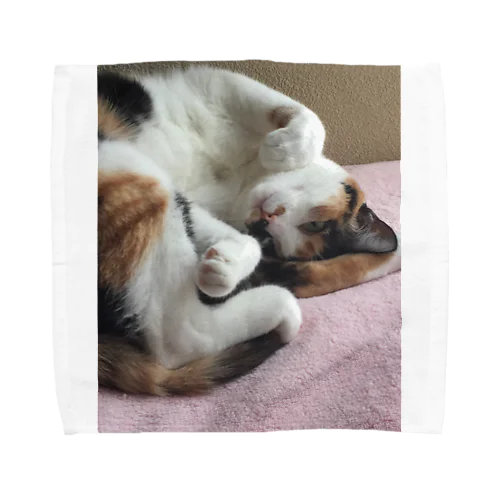 愛猫モモ Towel Handkerchief