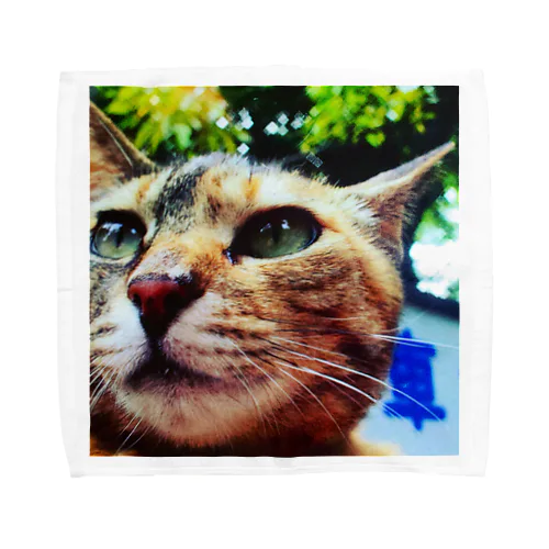 公園猫　 Towel Handkerchief