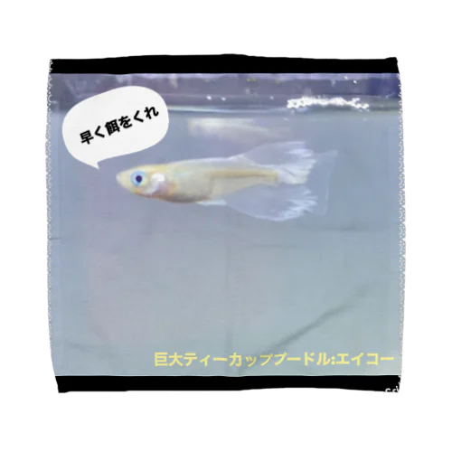 巨大ティーカッププードルのグッズ Towel Handkerchief