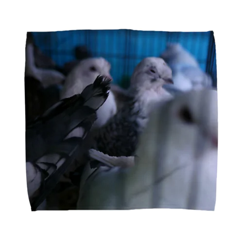 トルコの鳩 Towel Handkerchief