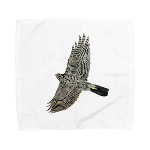 🪶猛禽類　ツミ　🦅 だぞっ‼️ Towel Handkerchief