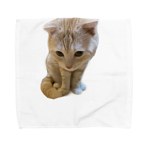 キャッツ Towel Handkerchief