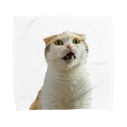 驚きを隠せない猫 Towel Handkerchief