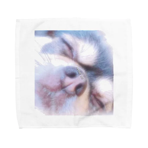 Kiss Me ちわわん Towel Handkerchief