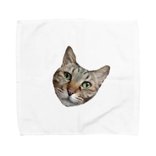 猫様のお顔 Towel Handkerchief