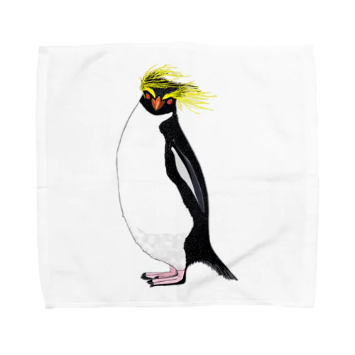 　風に吹かれるイワトビペンギンさん(文字無しバージョン Towel Handkerchief