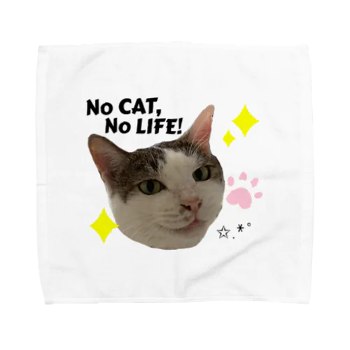 No CAT, No Life Towel Handkerchief