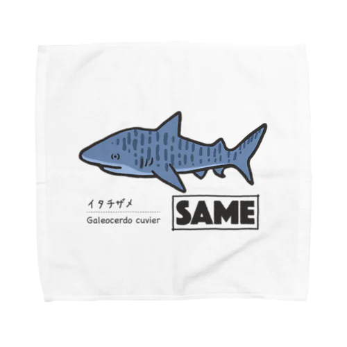 サメ図鑑_イタチザメ Towel Handkerchief