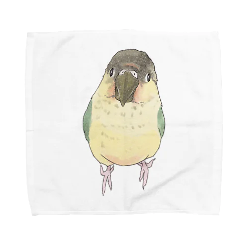 可愛いウロコメキシコインコちゃん【まめるりはことり】 Towel Handkerchief