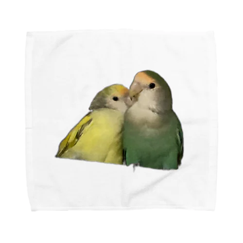 コザクラインコ ベビちゃん アビちゃん Towel Handkerchief