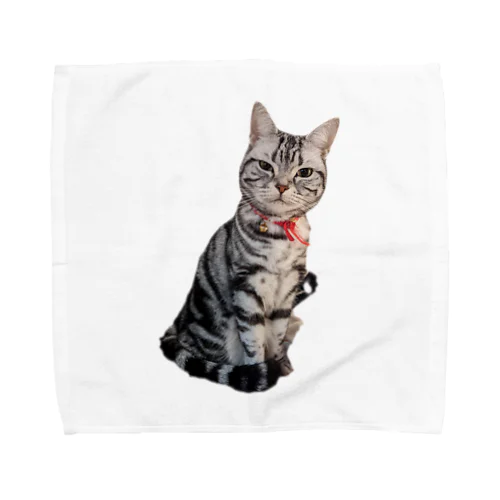 猫のトォーラ Towel Handkerchief