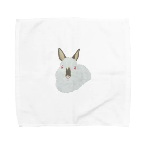 うさぎさん🐰ヒマラヤン Towel Handkerchief