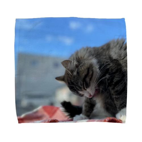 たびねこ蜜柑 Towel Handkerchief