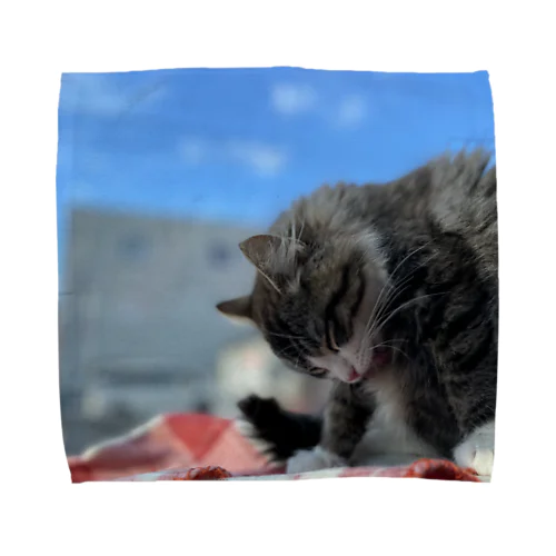 たびねこ蜜柑 Towel Handkerchief