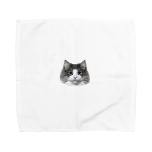 Timmy the cat Towel Handkerchief