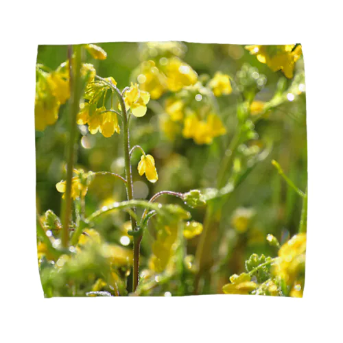 雨上がりの菜の花 タオルハンカチ