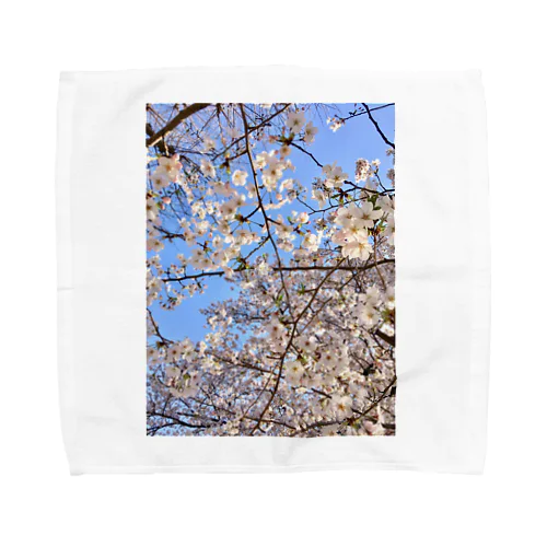 桜香 Towel Handkerchief